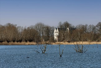 Nature reserve at the Mellnitz Ueselitzer Wiek on Ruegen