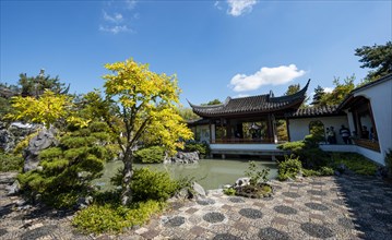 Garden with pond