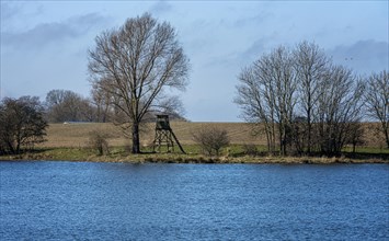 Nature reserve at the Mellnitz Ueselitzer Wiek on Ruegen