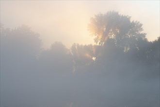 Morning fog and sunrise in the nature reserve Herbslebener Teiche