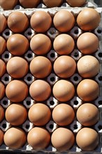 Fresh brown eggs in egg cartons at a market stall