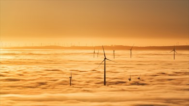 Wind turbines rising from cloud cover