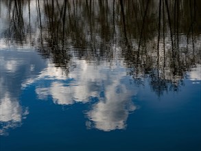 Trees and clouds in the blue sky reflected in the water of the Denstorf gravel pit near Braunschweig