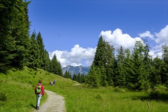 Hikers descending from the Hochleite mountain inn