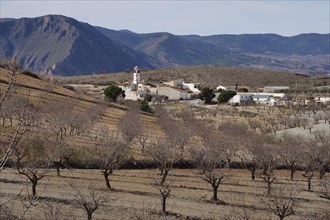 Village Cantal in the middle of almond orchards