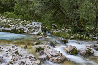 Watercourse of the Lepenjica