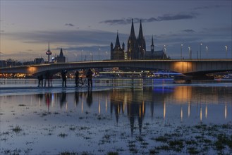 High water in Cologne