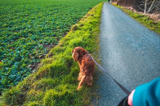 Young woman walking her dog