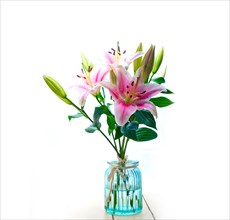 Pink lily flower bunch bouquet over white copyspace