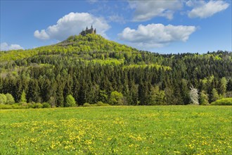 Hohenzollern Castle in spring