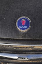Saab car logo on blue paint