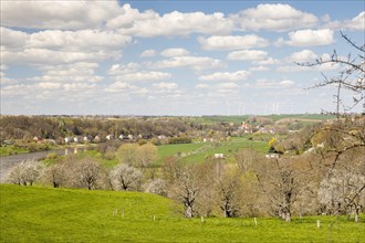 View into the Elbe valley with Zehren at fruit tree blossom in spring
