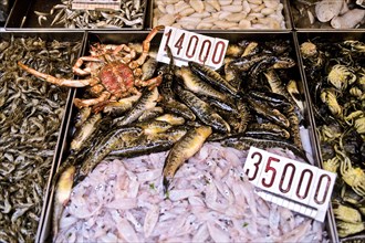 Mercato di Rialto with freshly caught fish and seafood