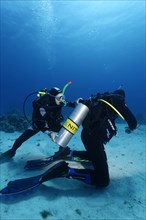 Diver helps other diver