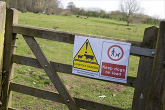 Keep dogs on lead sign livestock grazing