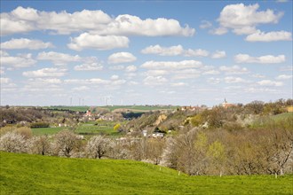 View of the Elbe valley with Zehren and Zadel at the blossoming of fruit trees in spring