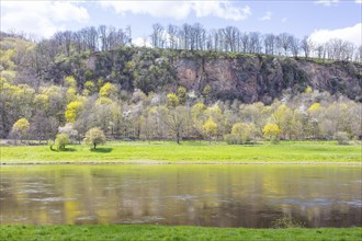 Elbe slopes in spring with bare