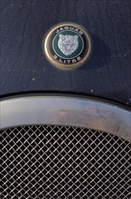 Car radiator grille with Jaguar head and logo