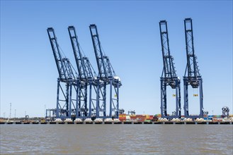 Gantry cranes on quayside at Port of Felixstowe