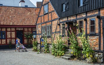 A family in promenade among lovely half timbered houses with Hollyhocks flower in the old city of Ystad