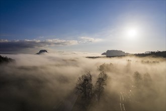 Lilienstein and Koenigstein Fortress above the fog