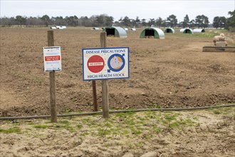 Free range pig farming disease precautions No Entry sign