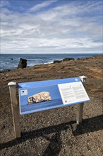 Information board on the coast