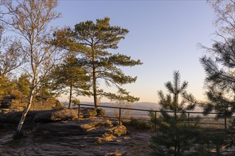 Viewpoint on the Pfaffenstein in the morning