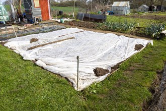 Protective textile sheeting used to protect plants on allotment garden