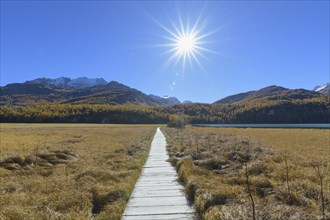 Boardwalk with sun on Lake Silsersee in autumn