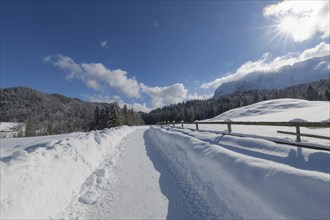 Path with sun in winter