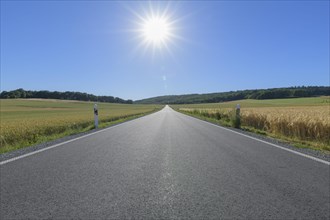 Country road with sun in summer