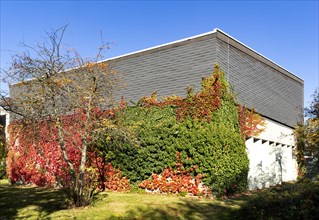 Facade greening with autumn leaves on a building of the Rhein-Sieg-Gymnasium