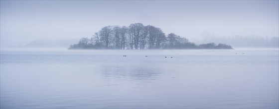 Island in Schaalsee in the morning mist