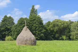 Traditional Spreewald hay bale
