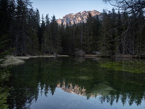 Mountains reflected in the Pfarrerteich