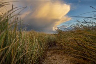 Dune Landscape with Thundercloud