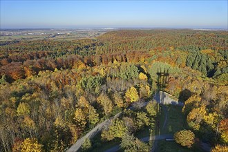 View of autumn forest from the Schoenbuch Tower