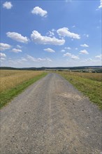 Gravel road with grain fields in summer