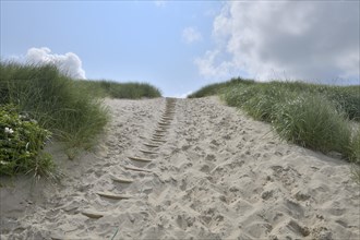 Dune landscape with sandy footpath to the sea in summer