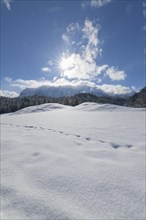 Winter landscape with sun