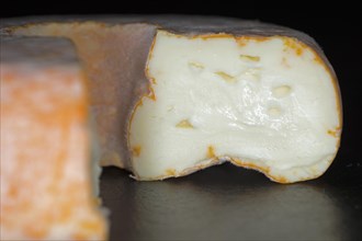 French soft cheese from the Perigord