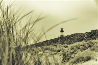 List-ost lighthouse with dune landscape