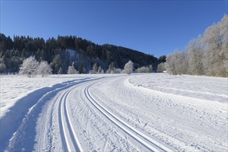 Cross country skiing track in winter landscape near lake Barmsee