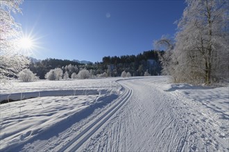 Cross country skiing track in winter landscape near lake Barmsee