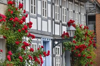 Half-timbered houses