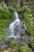 Spring at Misol-Ha Waterfall