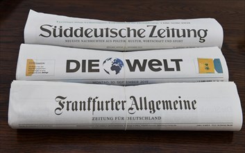 National daily newspapers Die Welt