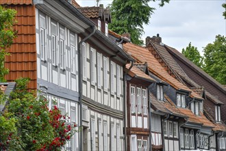 Half-timbered houses