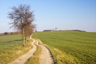 Field path to the Bockwindmuehle on the Liebschuetzberg